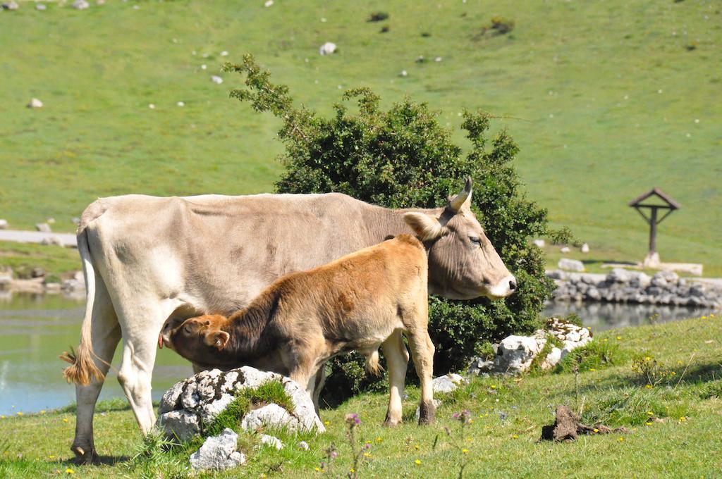 Casa Rural La Riba Sames Екстериор снимка