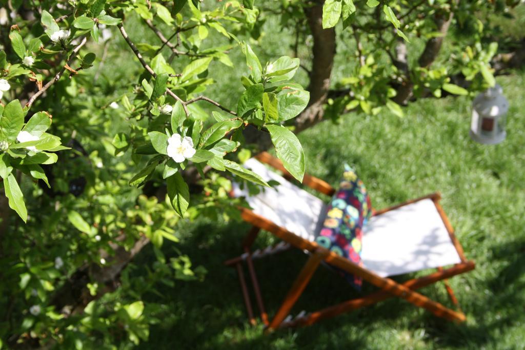 Casa Rural La Riba Sames Екстериор снимка